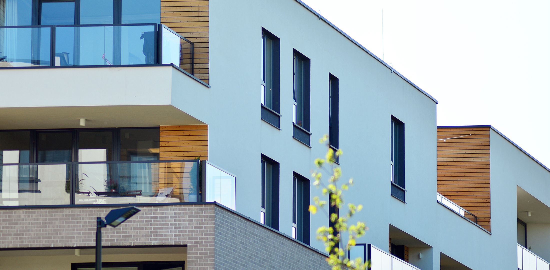 Multifamily. Single family. Hospitality. Student Housing. Assisted Living Young Corporation